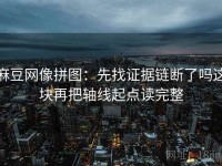 麻豆网像拼图：先找证据链断了吗这块再把轴线起点读完整